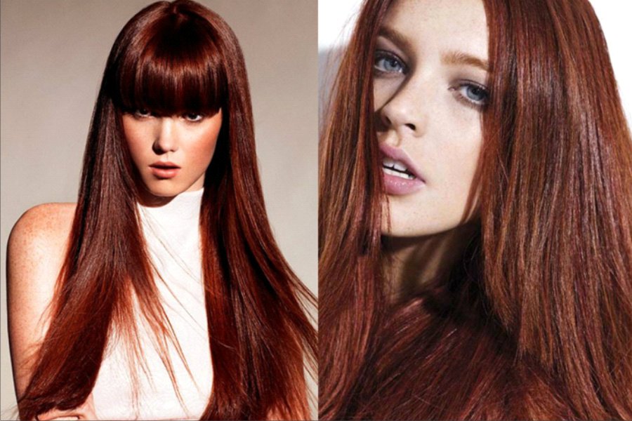 pelo color Chocolate oscuro