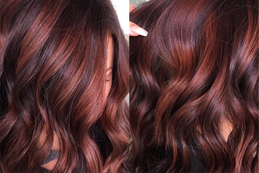 pelo color chocolate